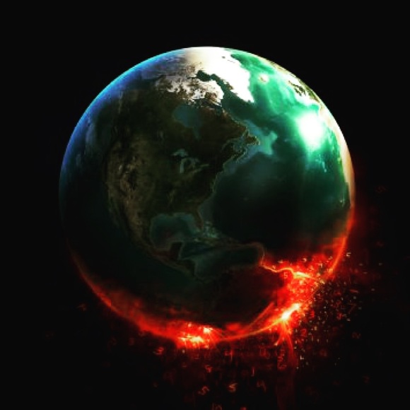 Meet your Posher, Raven - Picture 7 of 8